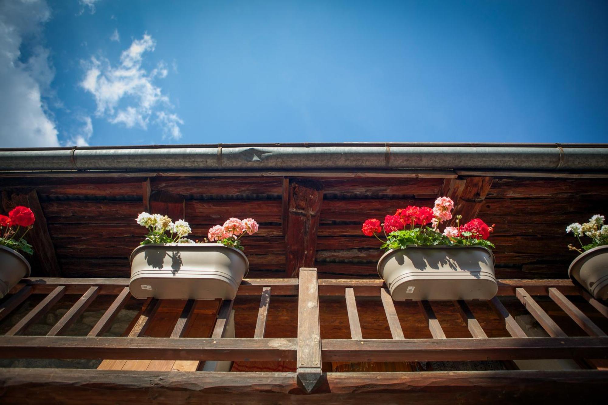 Villa Marmotte Mountain Manor à Chamonix Extérieur photo